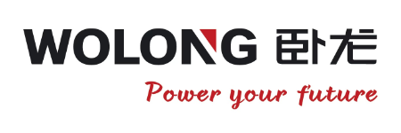 臥龍電氣驅動集團股份有限公司