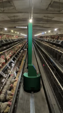 低產雞巡檢機器人