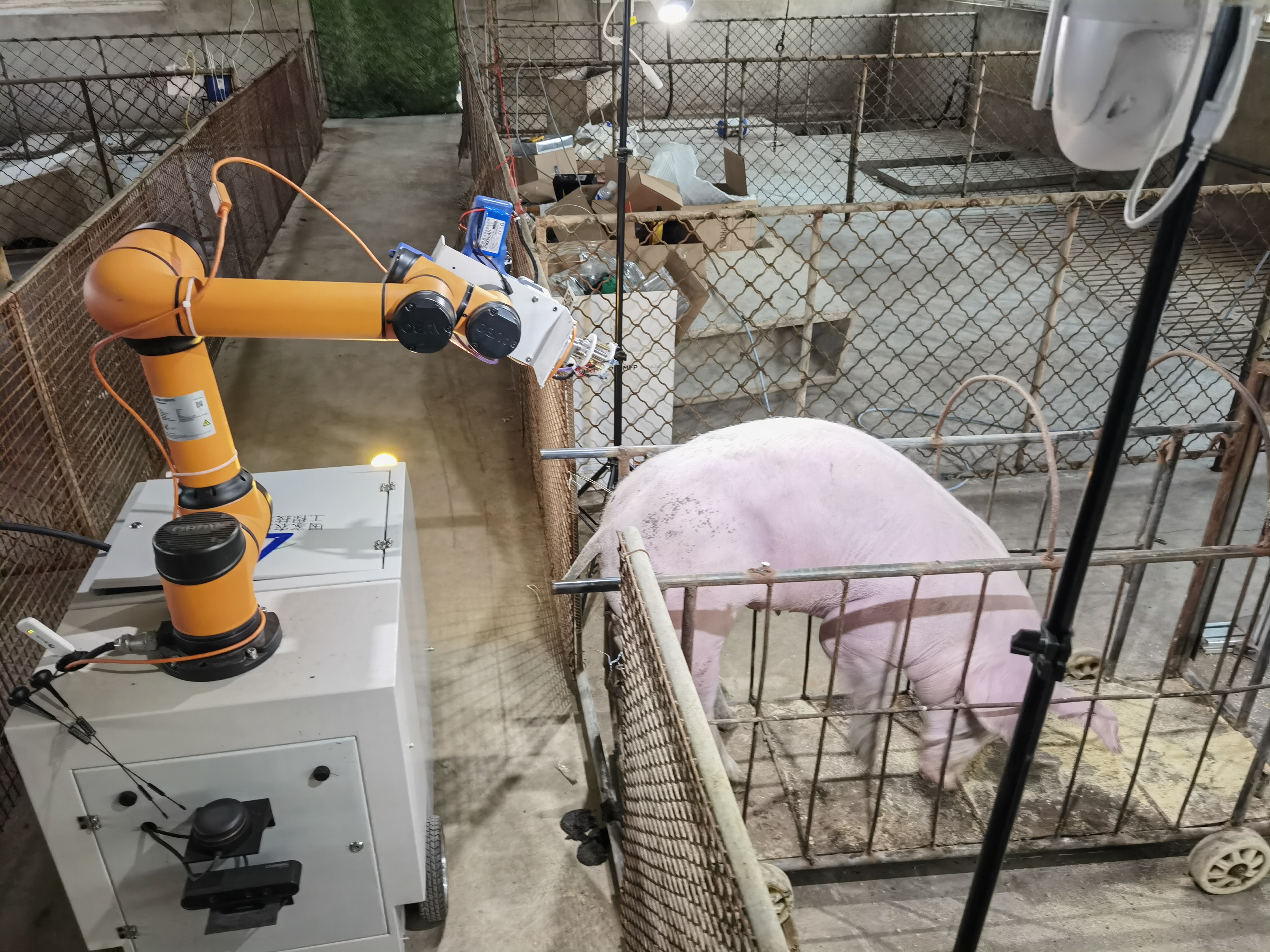 豬只無針免疫注射機器人